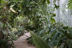 PARIS-AUTEUIL-LES SERRES…