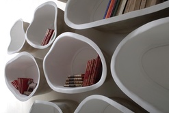 LA RONDEUR DES TENDANCES