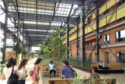 PARIS XVIII - LE MUST GO D'EVELYNE DAMS