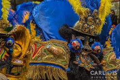 CARLOS BIGGEMANN PHOTOGRAPHE