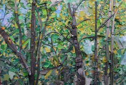 VANESSA BALCI ou la RE(de)COMPOSITION PLASTIQUE