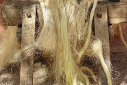 LA PETITE HISTOIRE ANCIENNE ET SIMPLIFIÉE DU SISAL