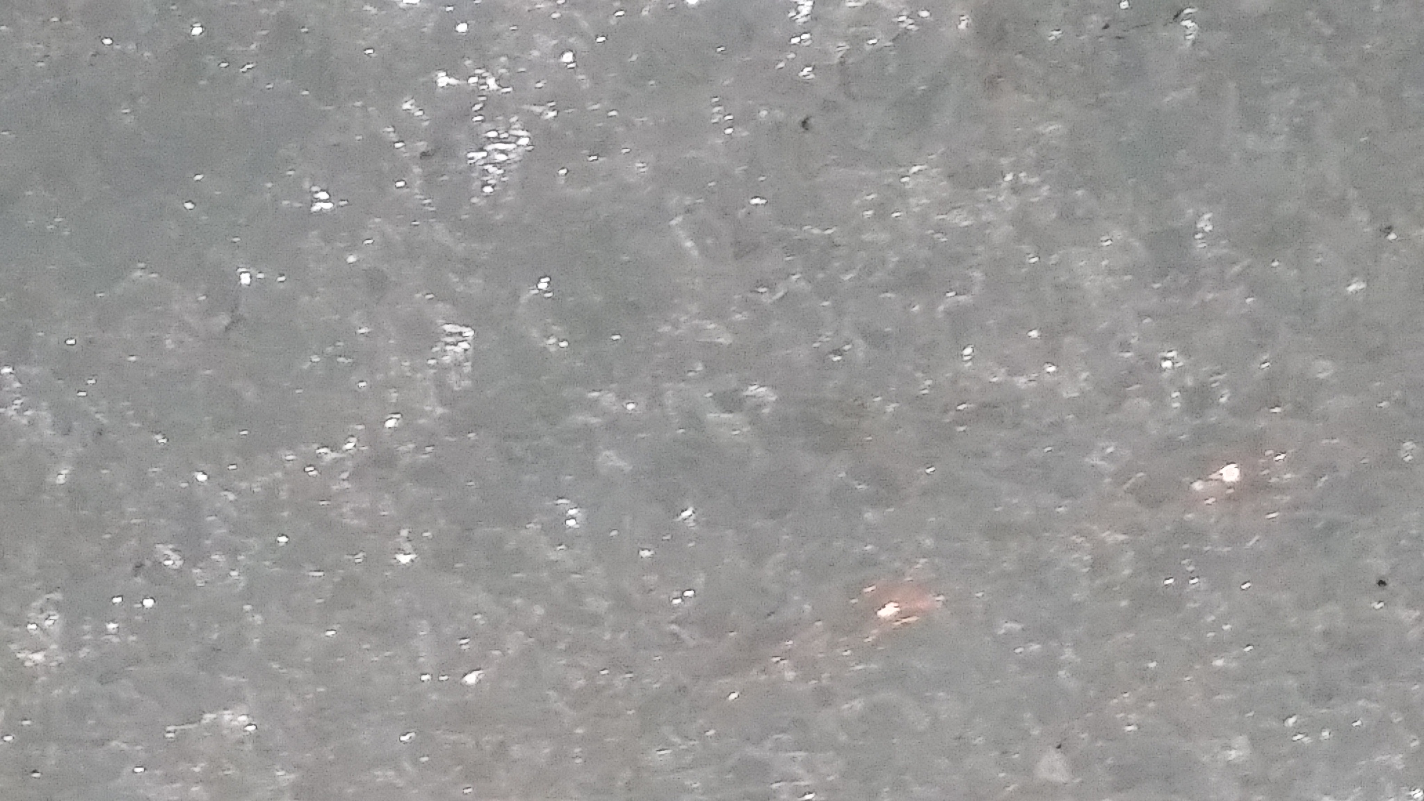 comme la neige blanche