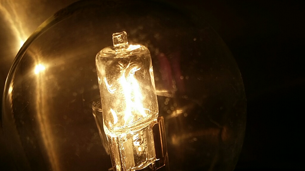 l'ampoule sous globe