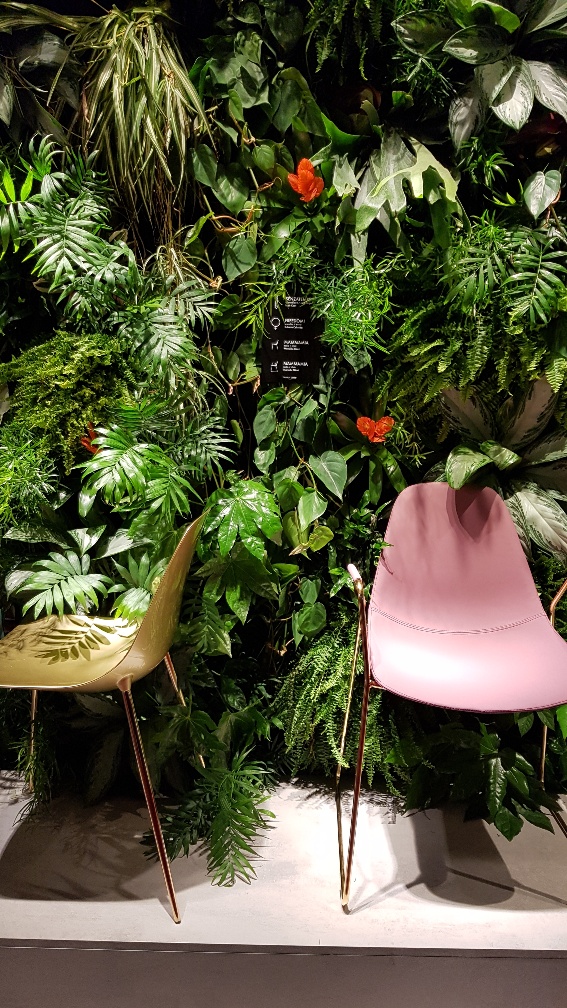 mur vegetal