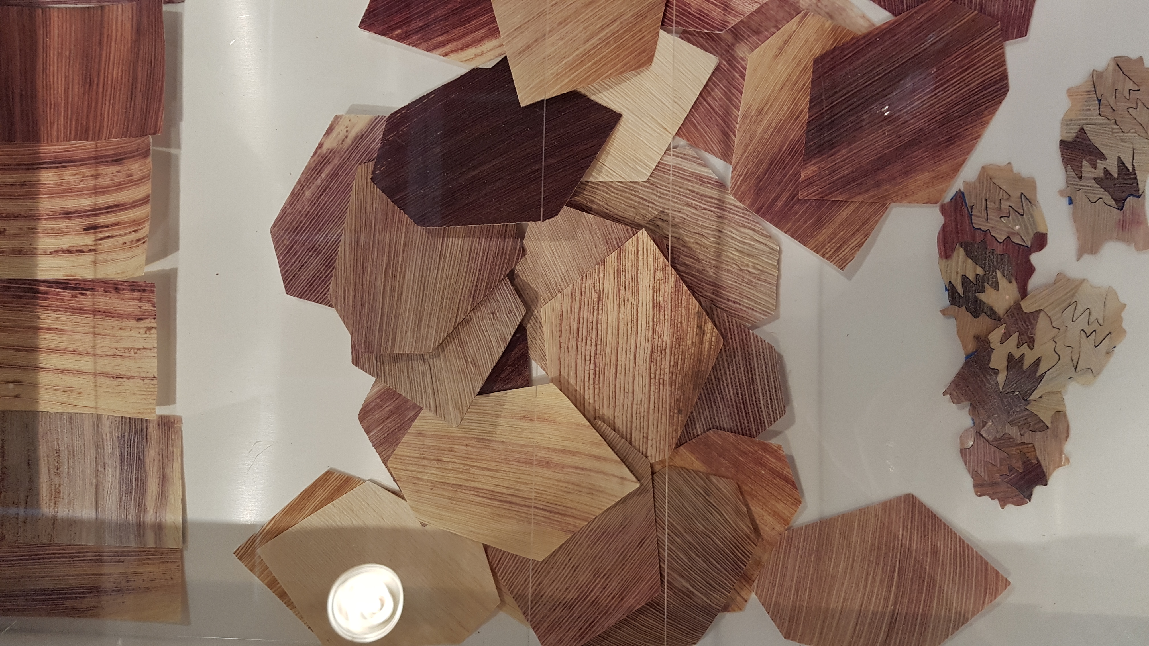 Feuilles découpées