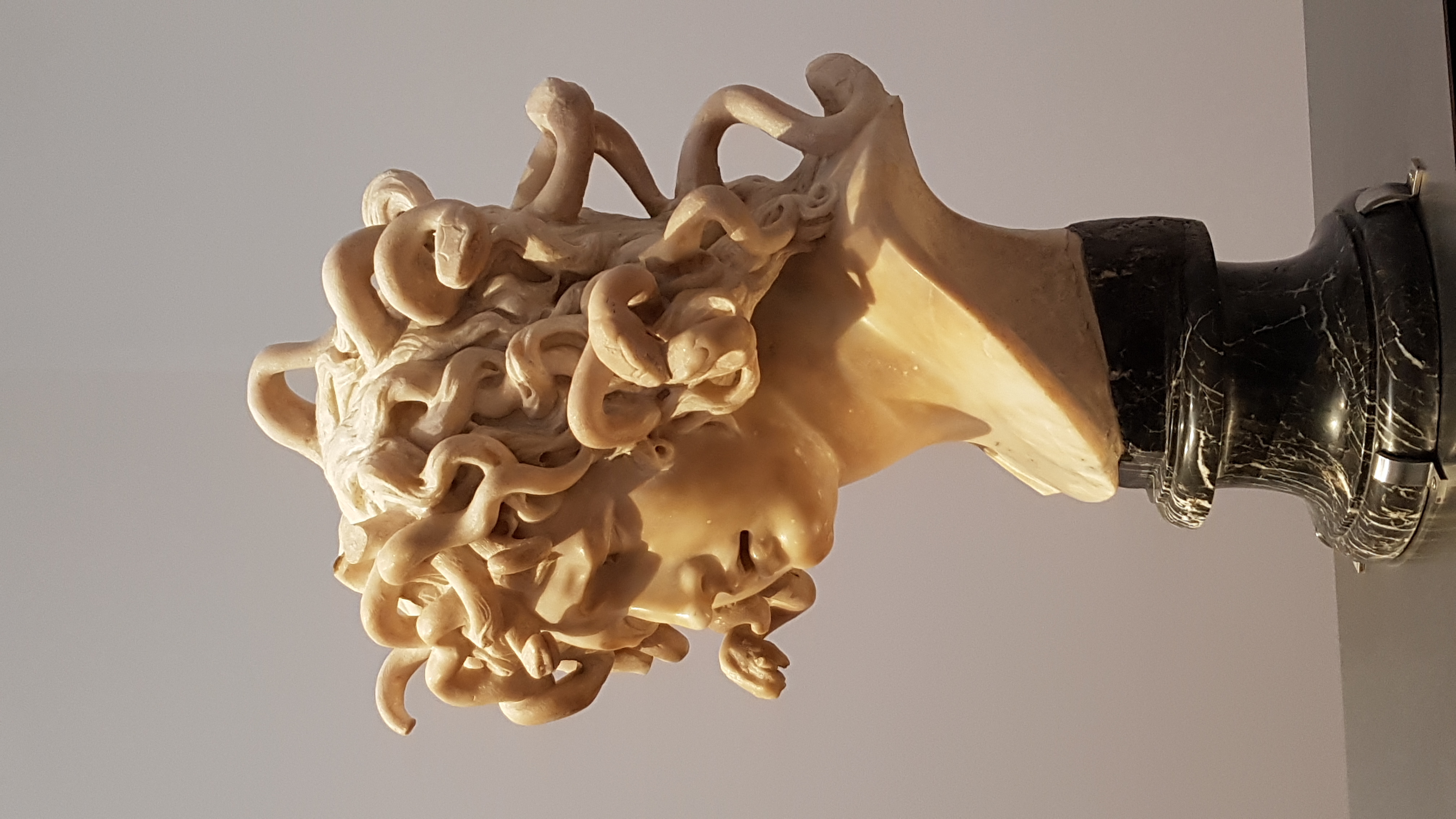 Bernini La Meduse profile