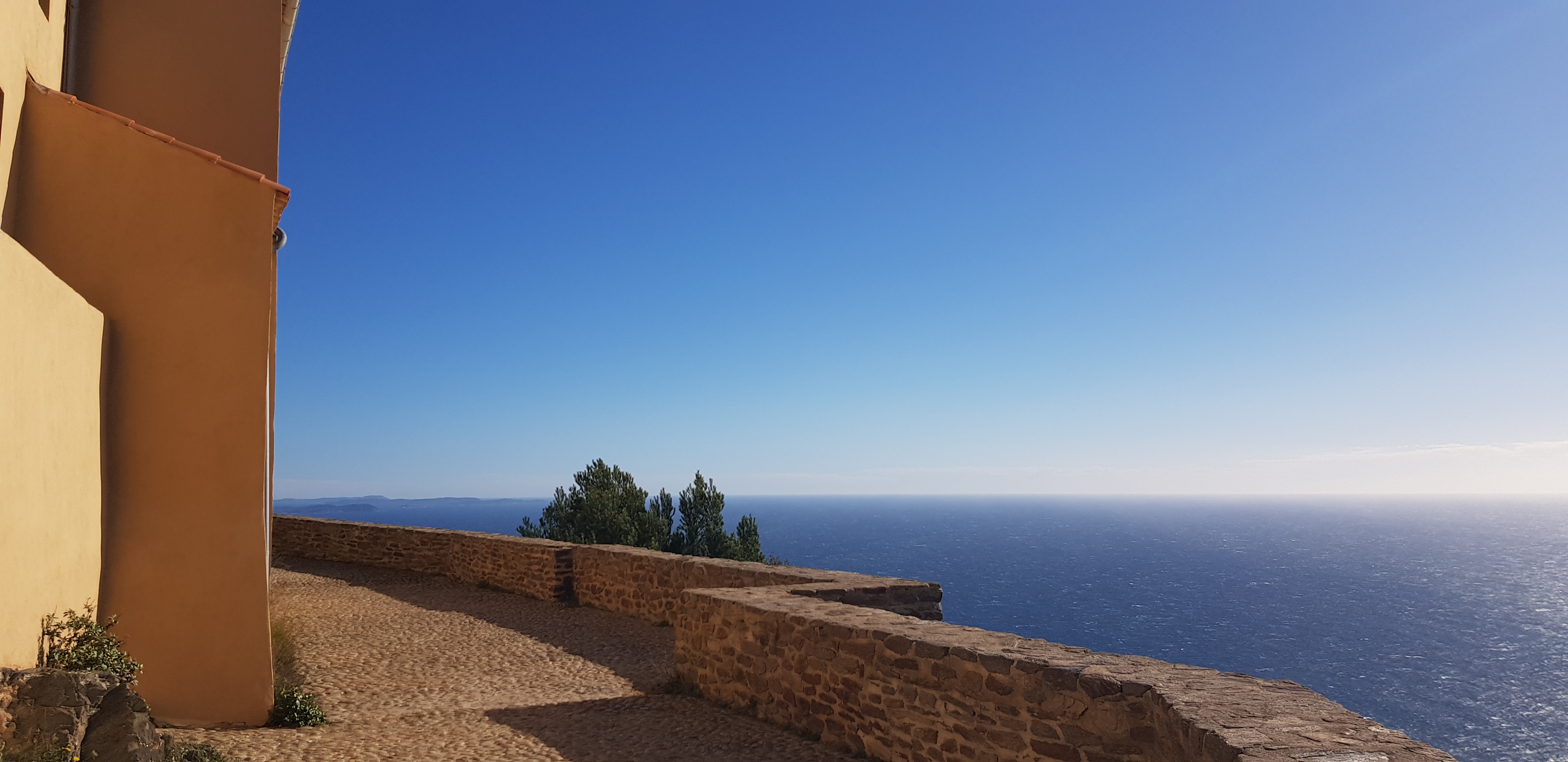 vue, odorat, toucher, ouie