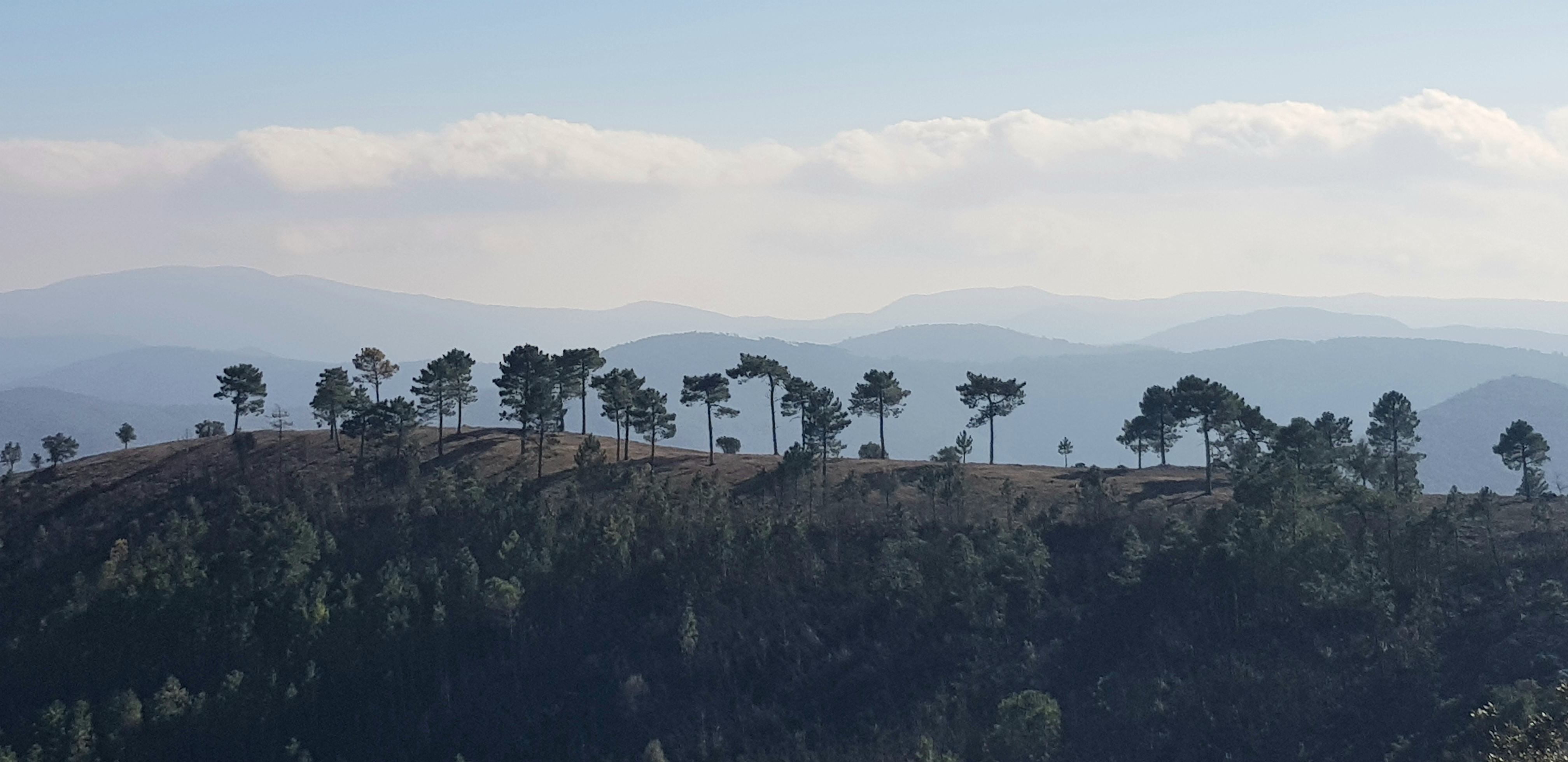 vue, toucher, odorat, goût, ouie