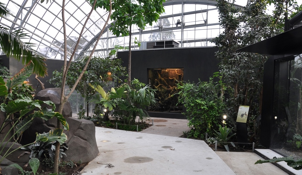 vivarium serre boa canin et iguane