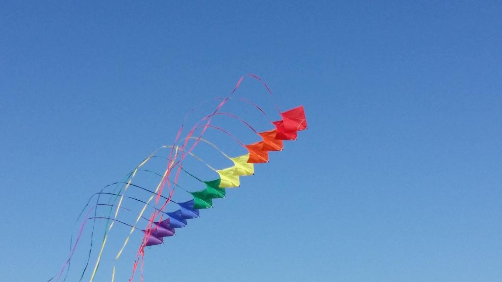 bleu cerf volant Valencia