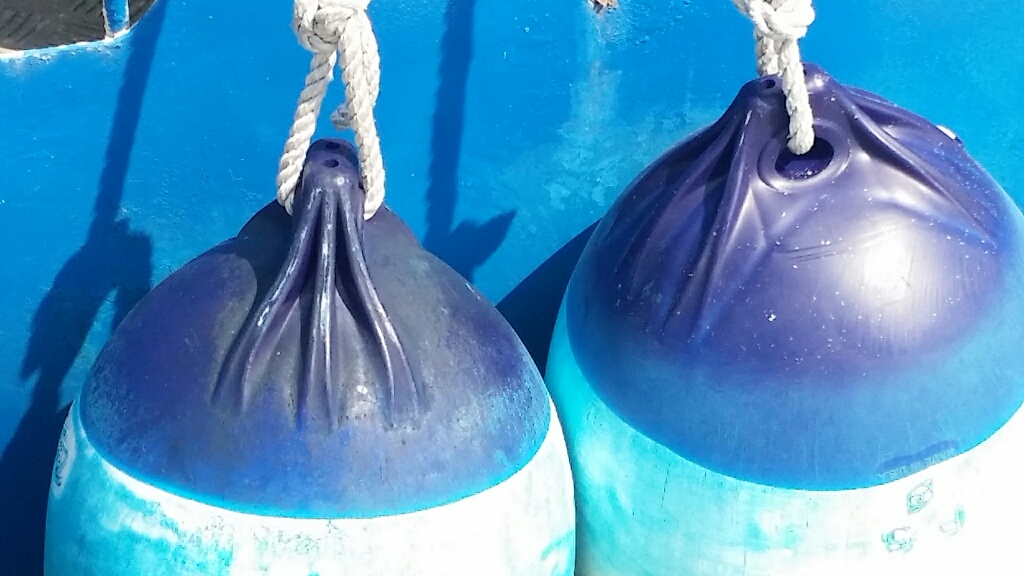 bleu défenses à Cherbourg