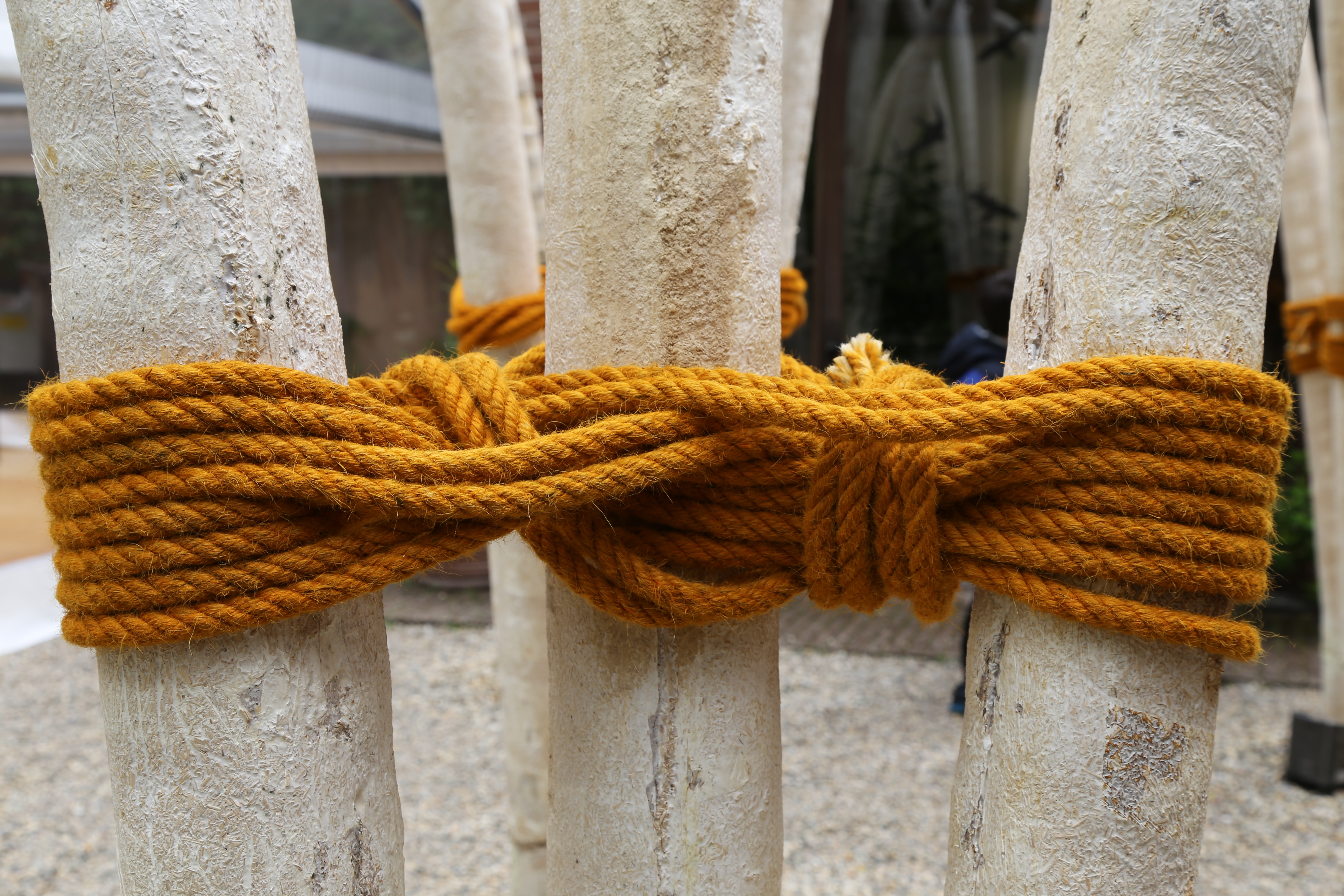 Detail au Jardin