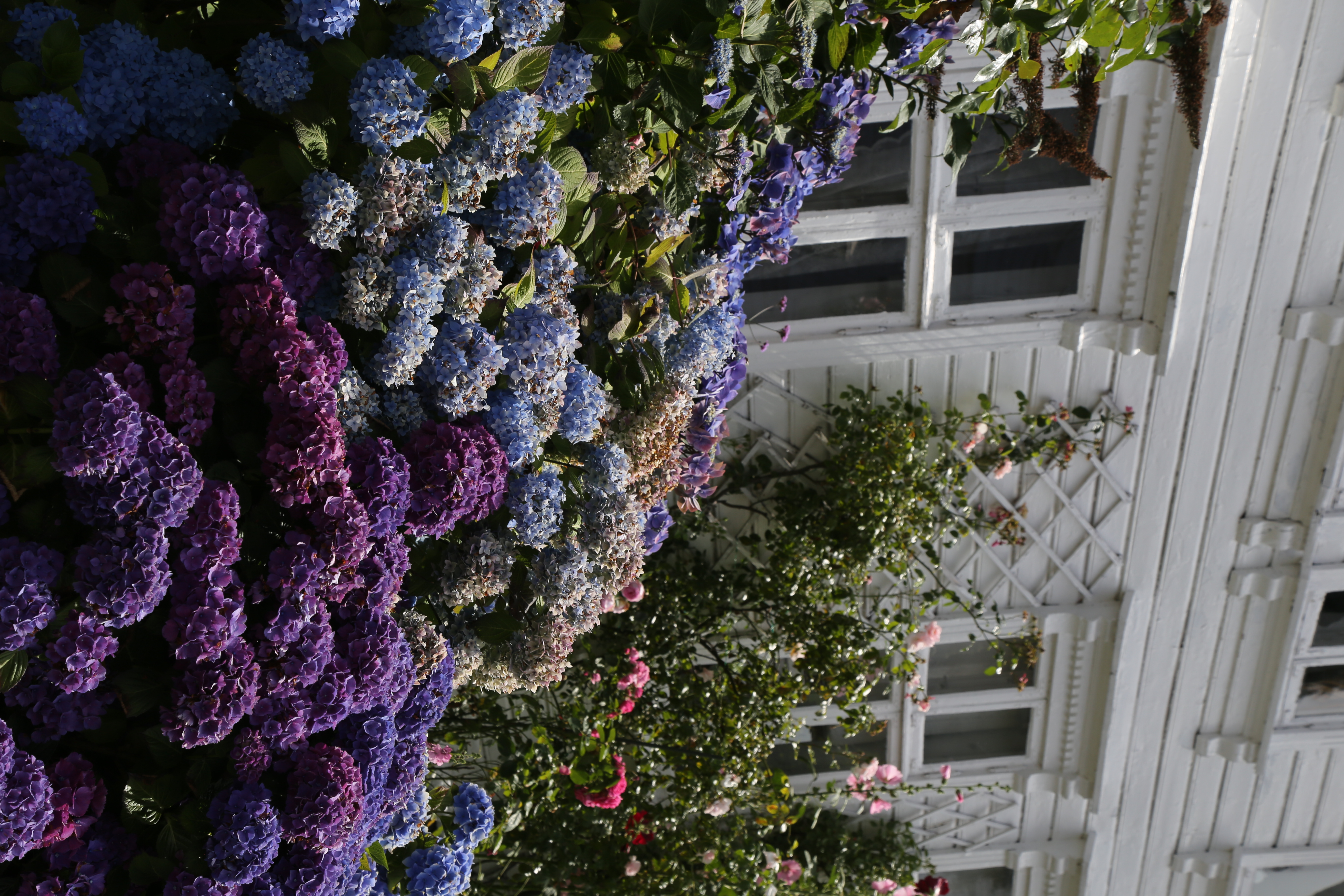 quartier des pecheurs