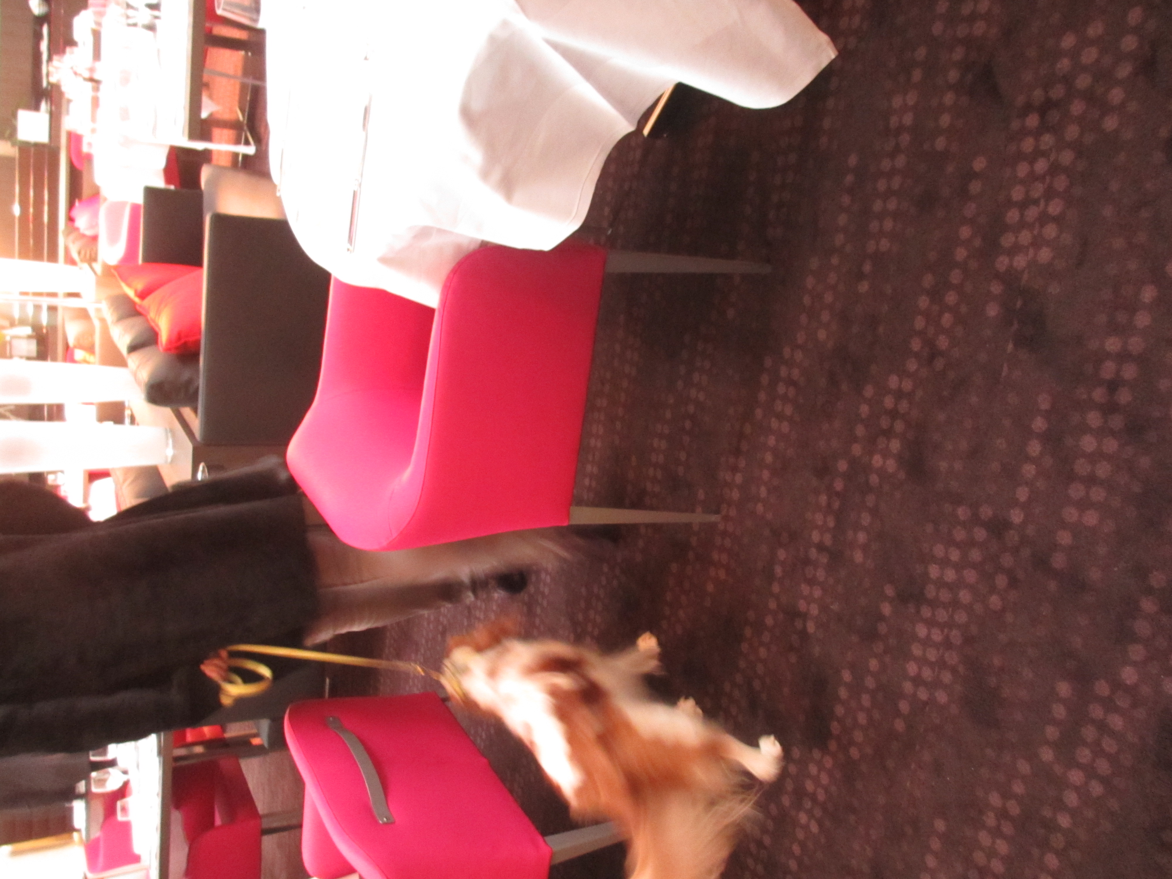 Entretien pour restaurants