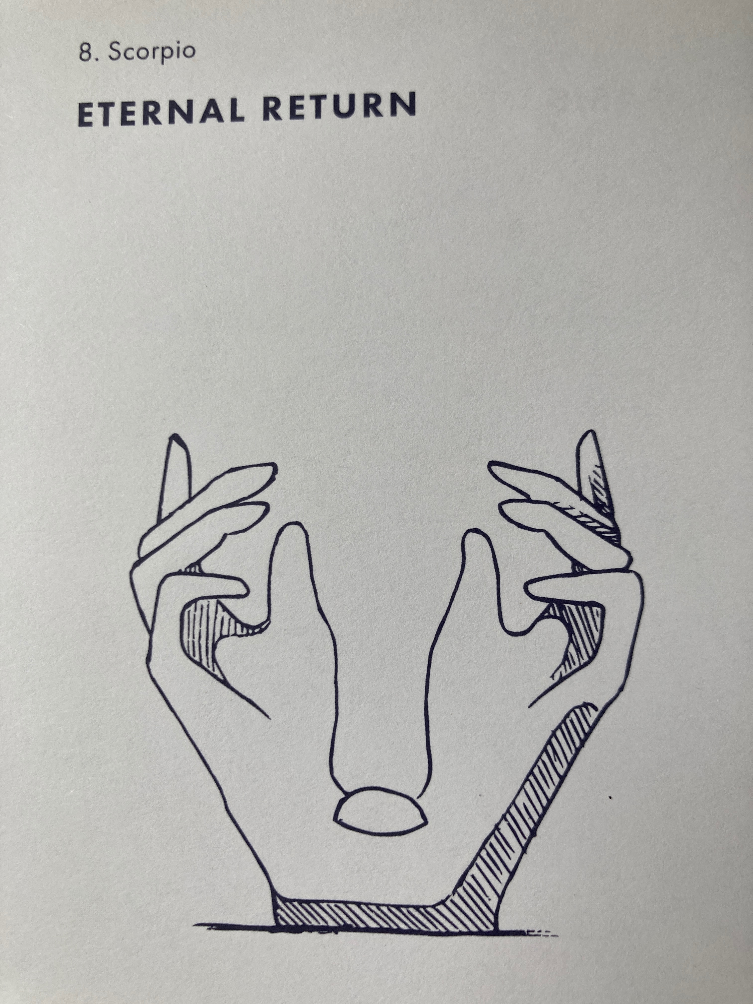 Scorpion