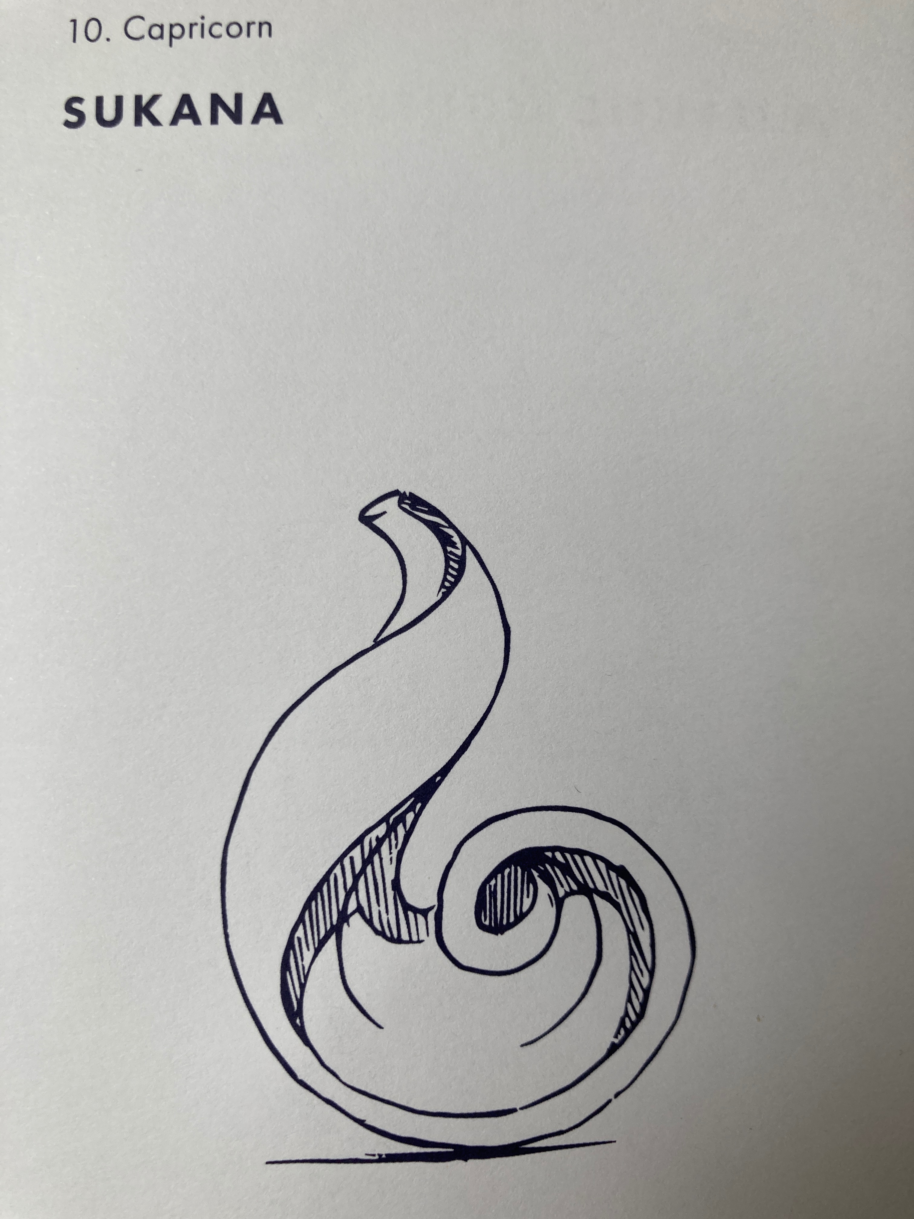 Capricorne