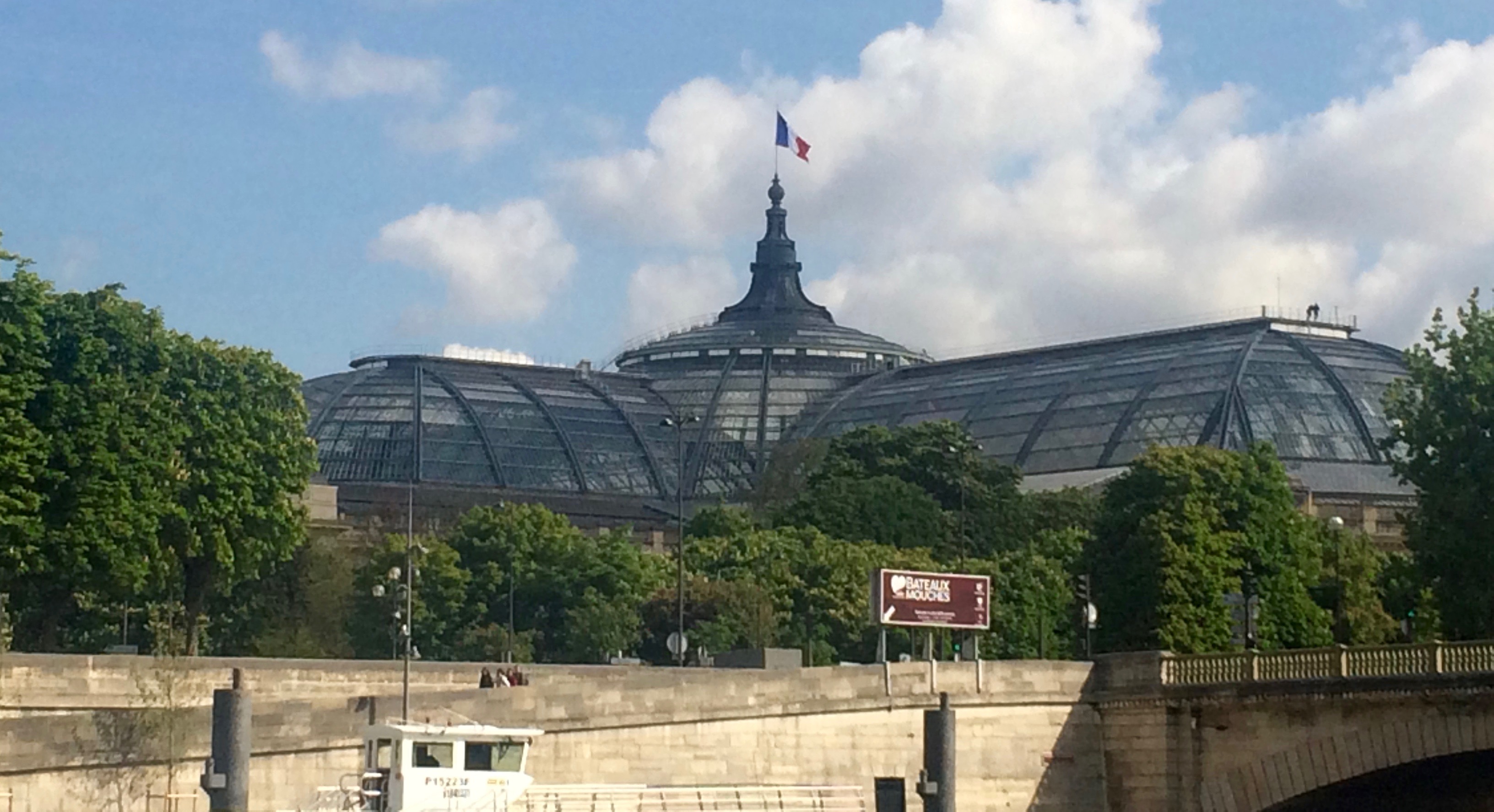Grand palais vu de la Seine