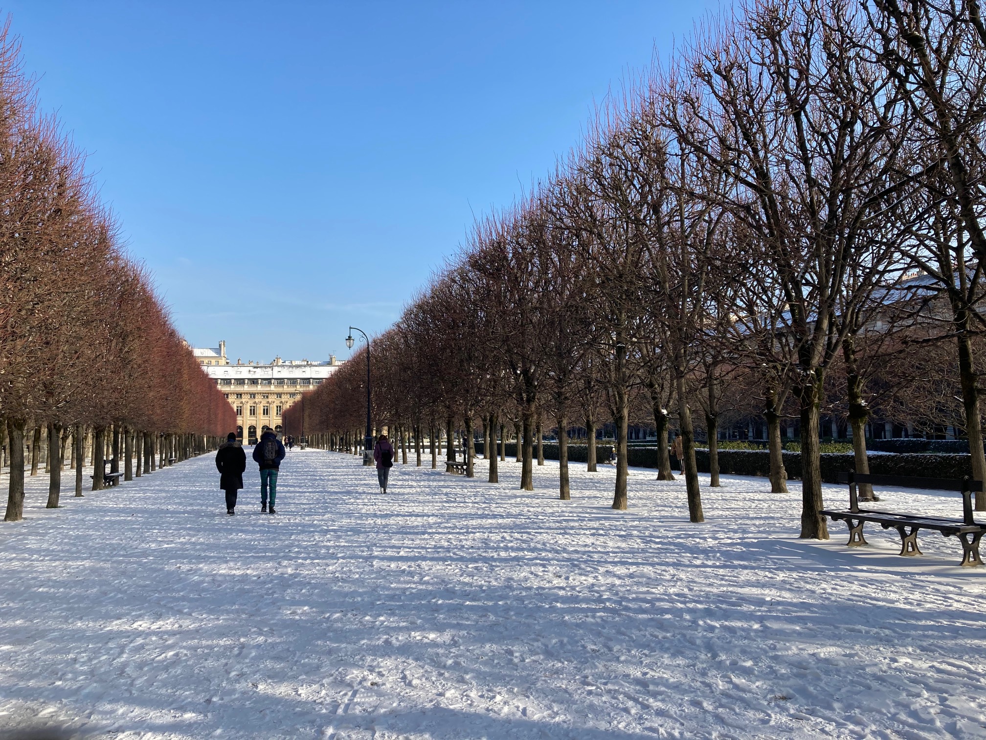 Les jardins sous la neige