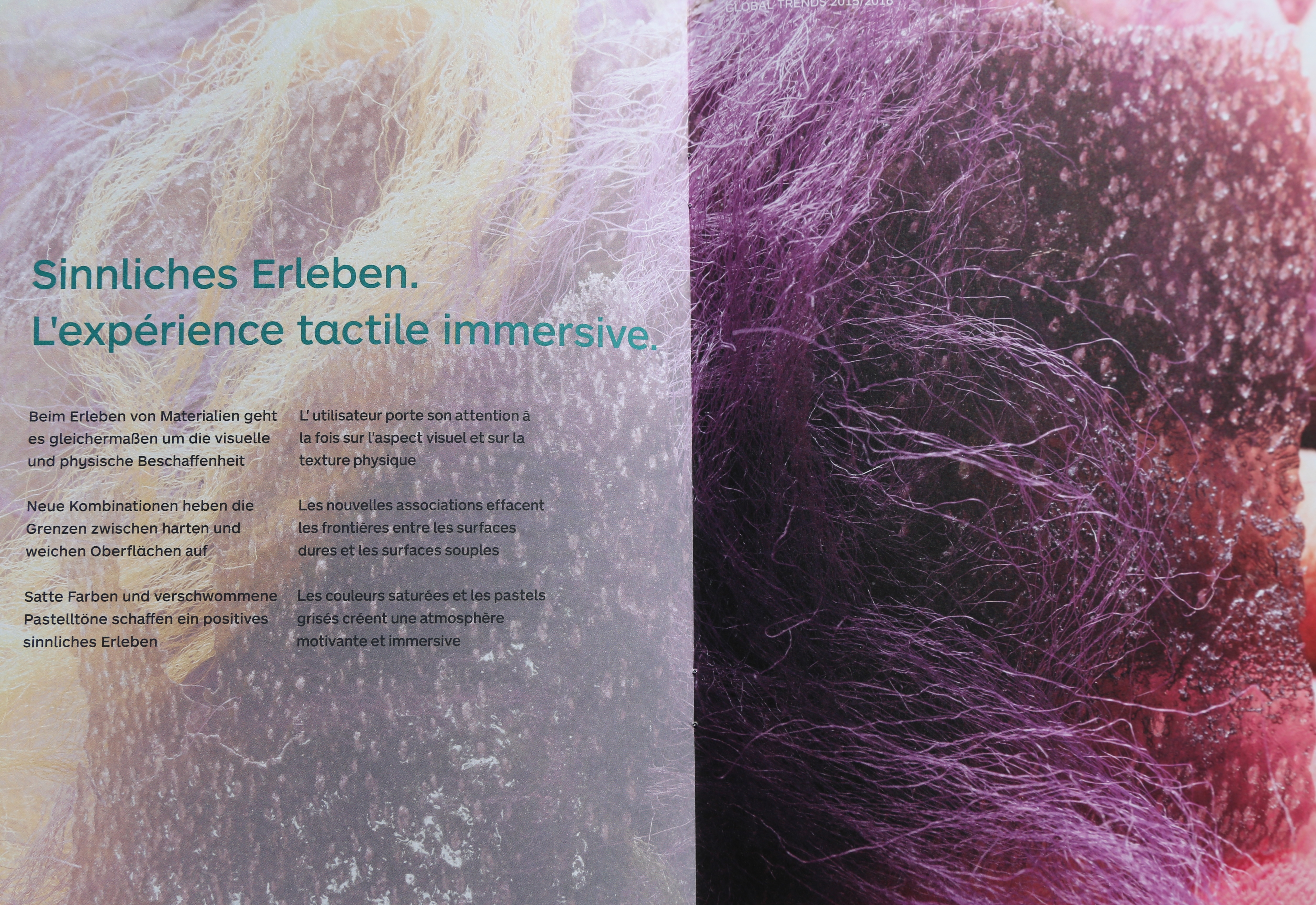 Experience sensorielle