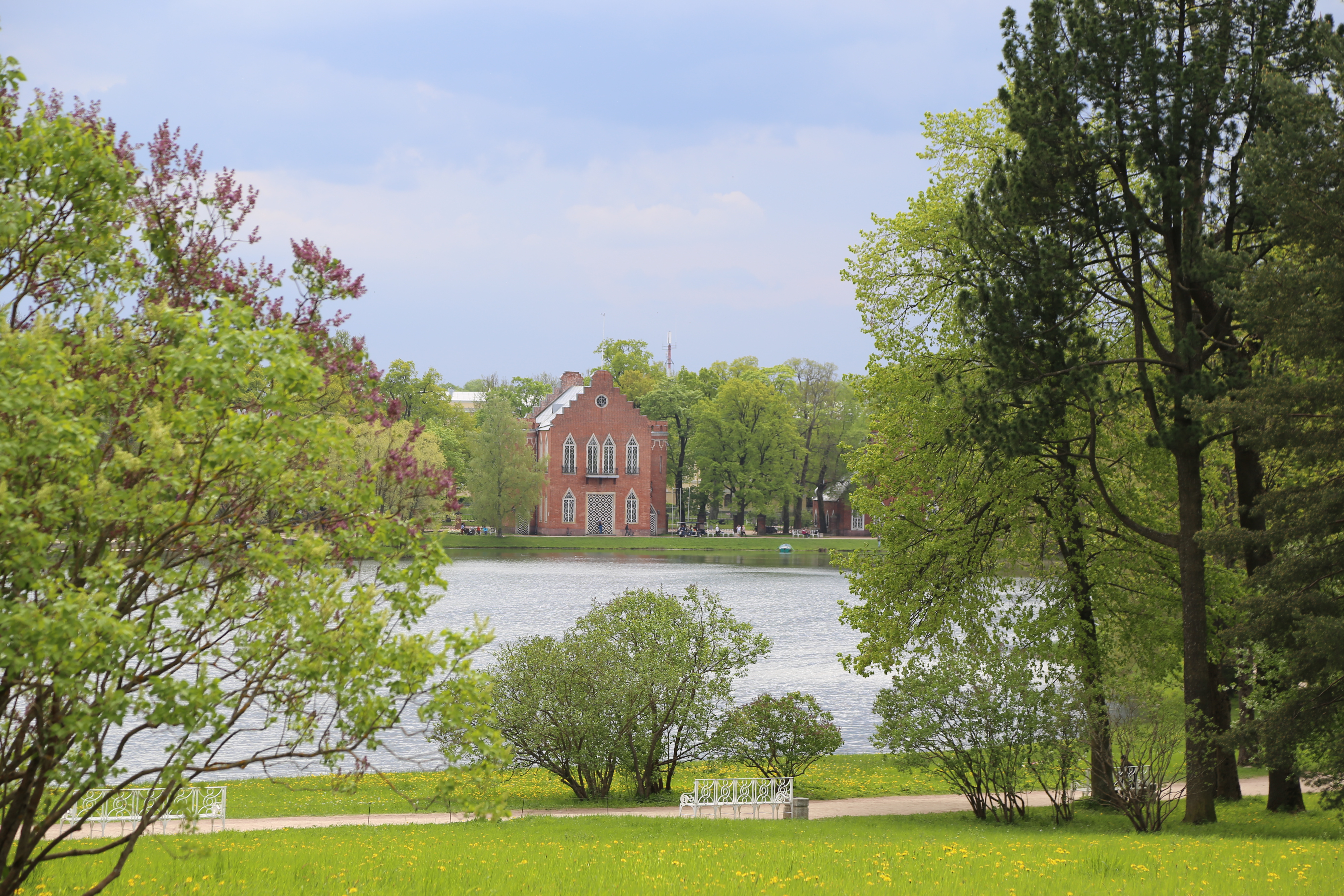 Vue sur le parc