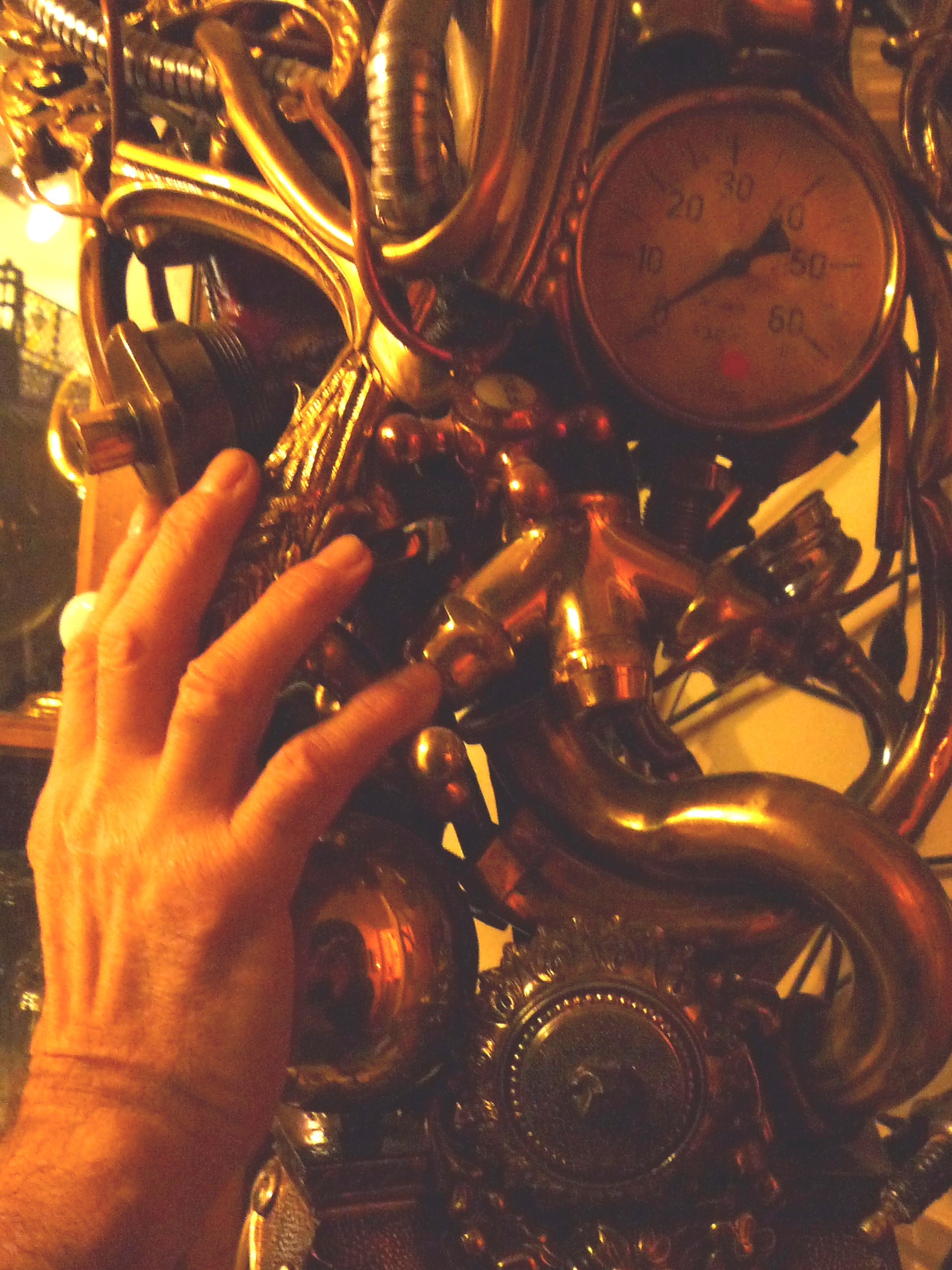 le collectionneur