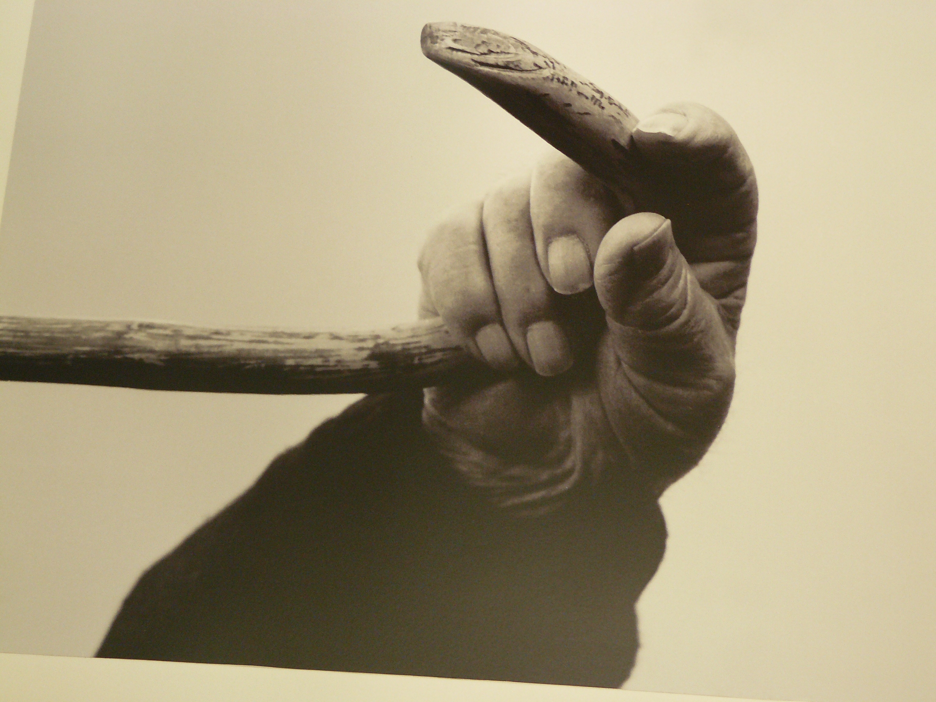 Equilibre envers et contre tout...