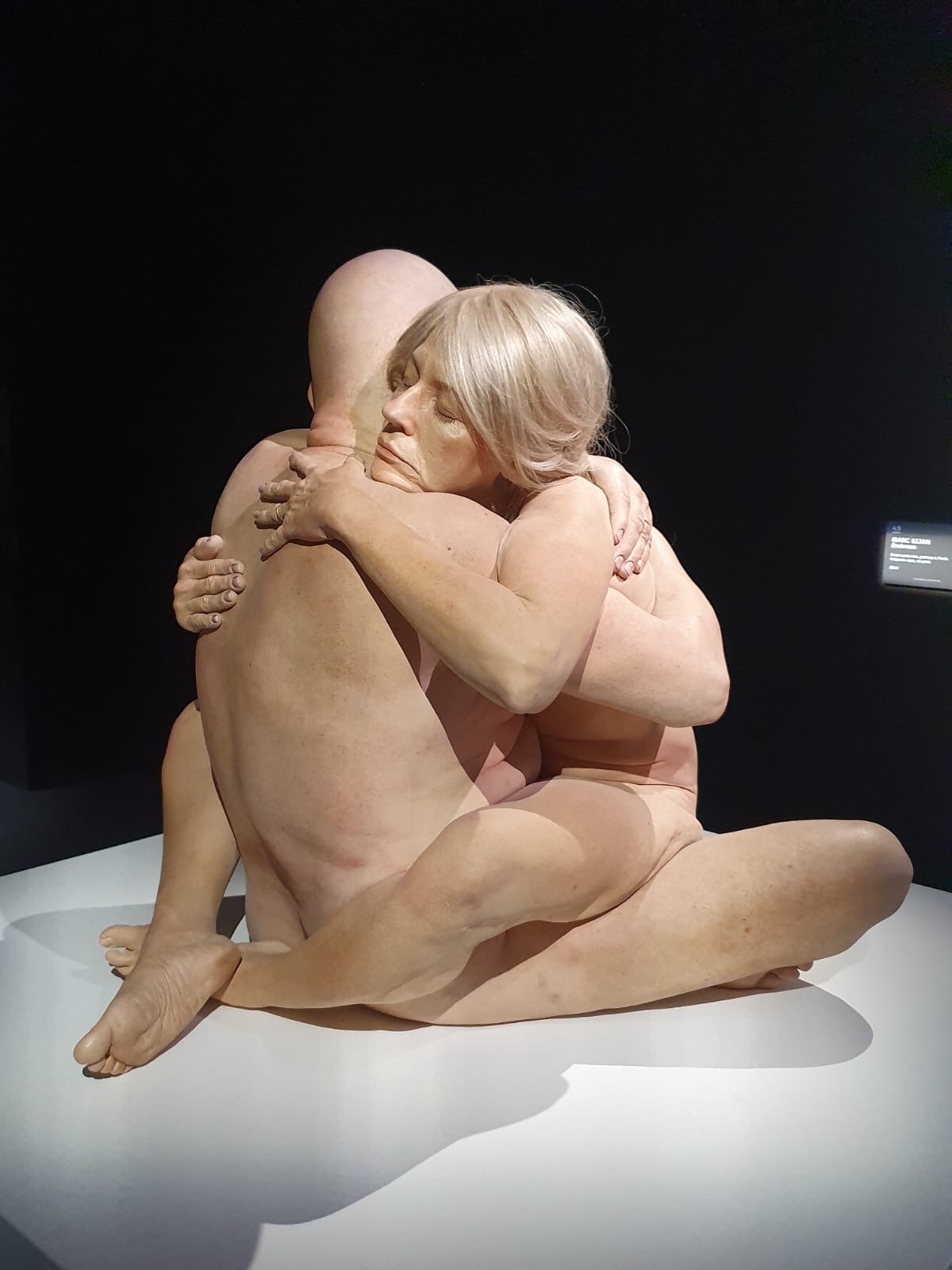 Embrace by Marc Sijan 2014
