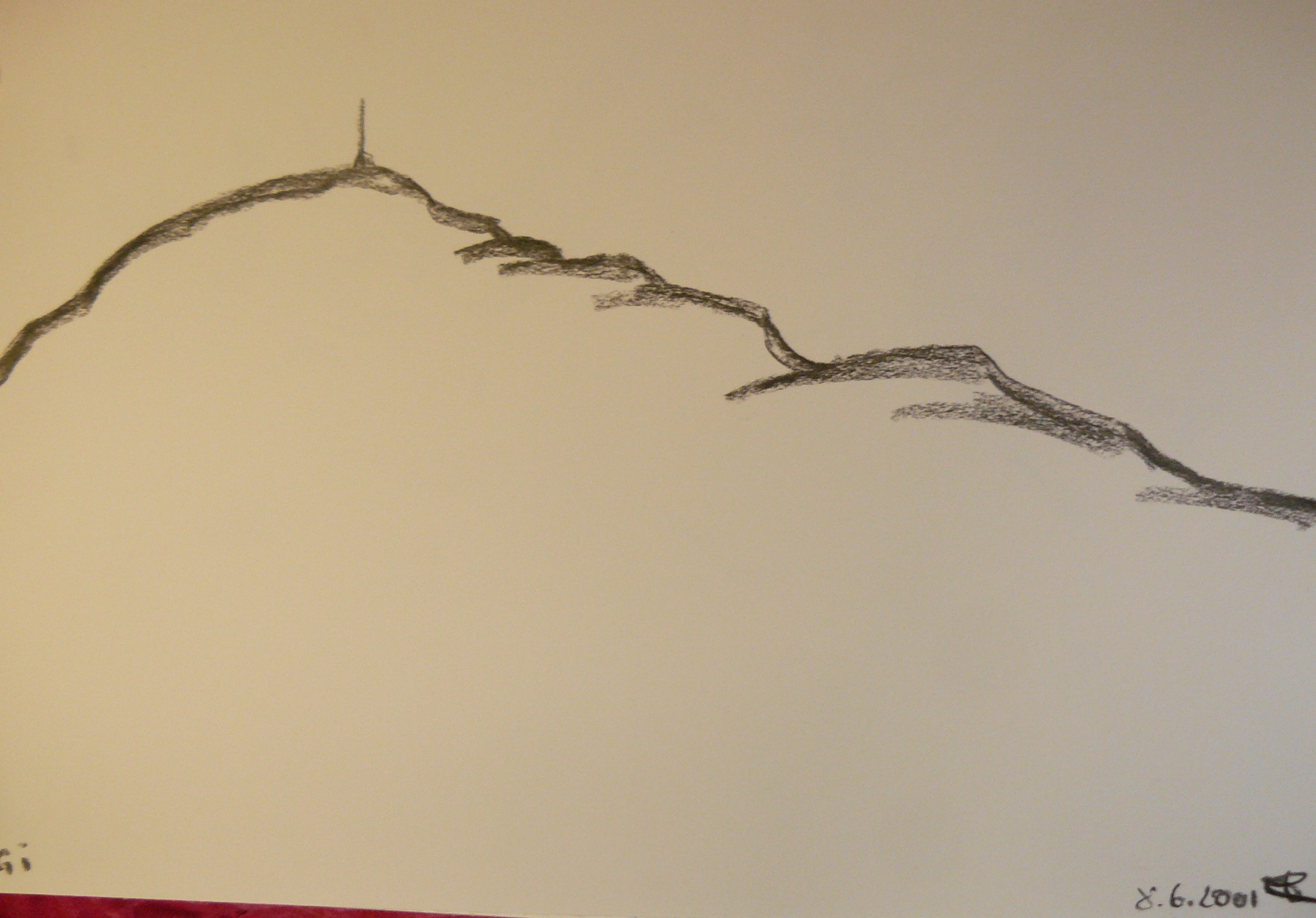 Dessin du 8 juin 2001