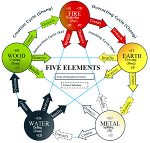 Les 5 éléments du cycle