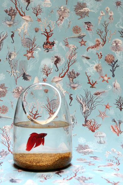 Jean Paul Gaultier maison