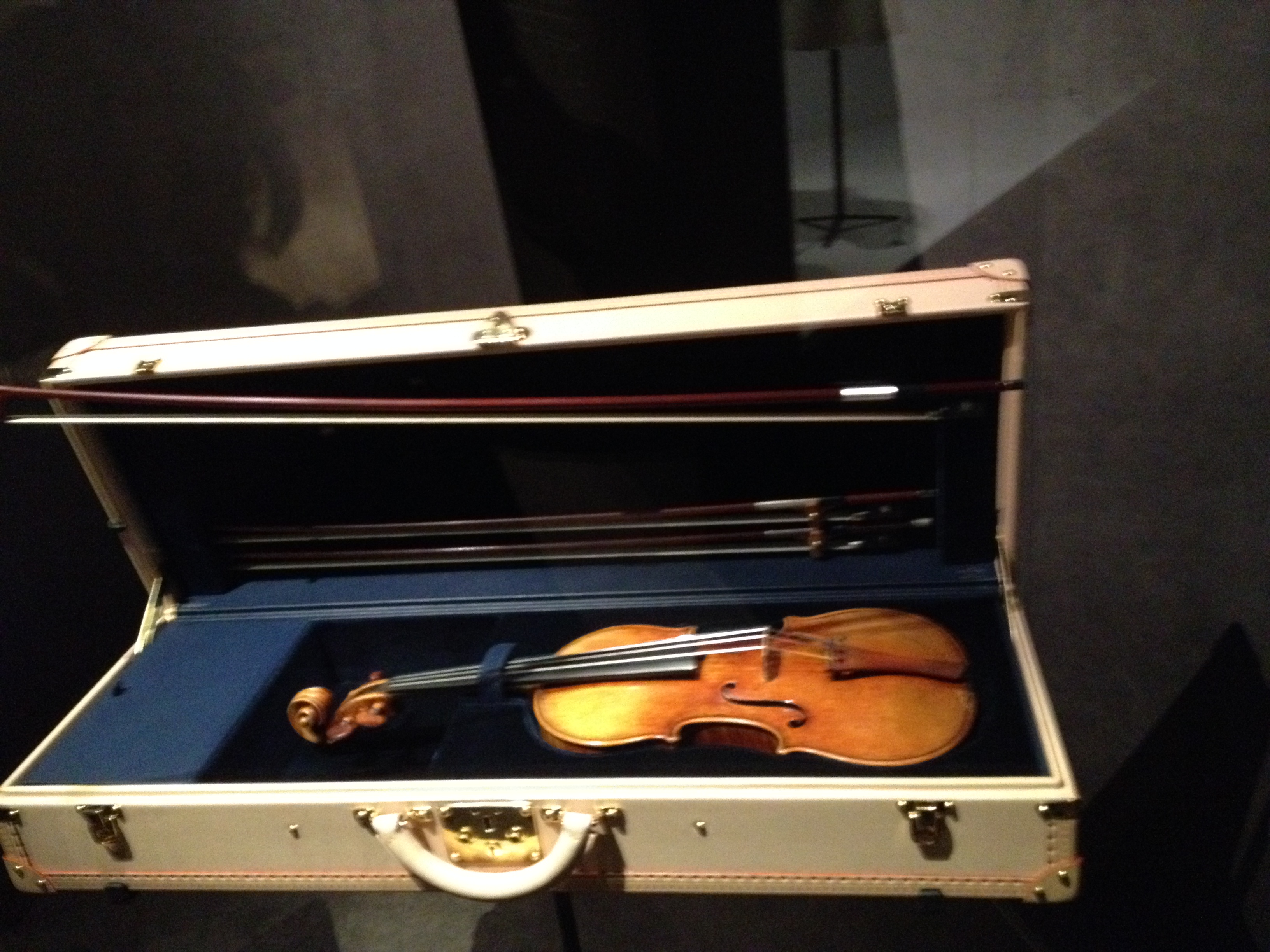 Malle violon