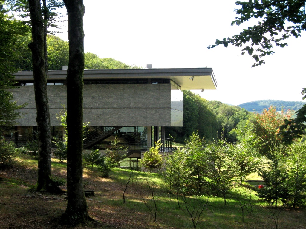 Niché dans la forêt