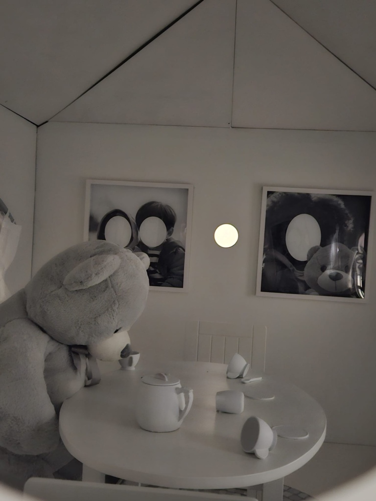 L'ours dans sa maison