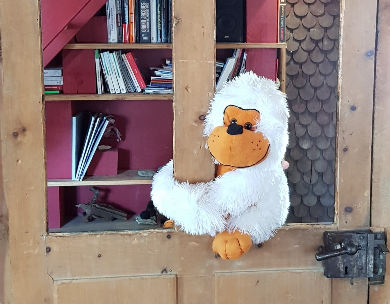 Petit singe en couverture