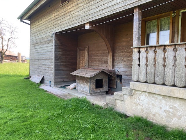 Quand la niche s'intègre à la maison...